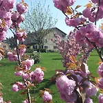 Agroturismo Il Brugnolo Scandiano
