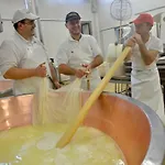 Il Brugnolo Scandiano