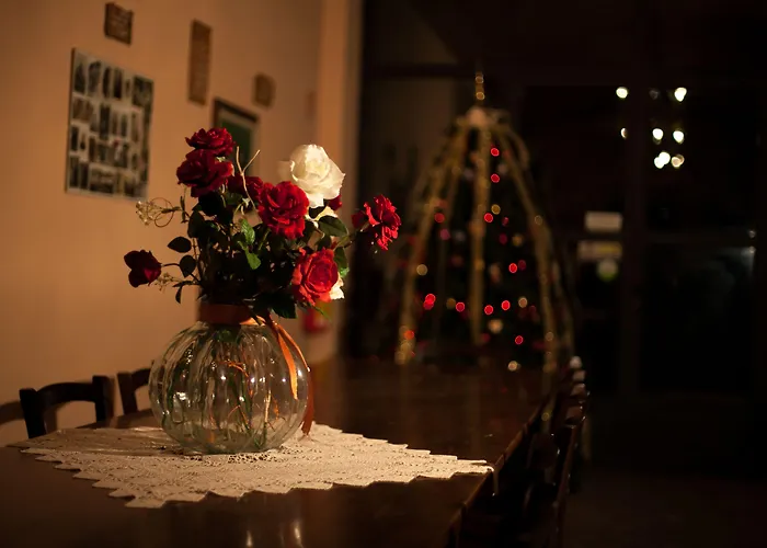 Feriegård Il Brugnolo *