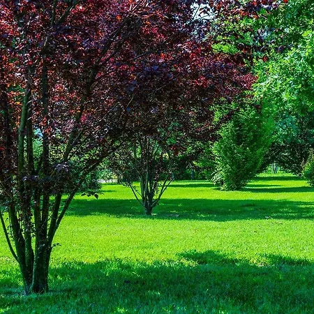 ファームステイ Il Brugnolo