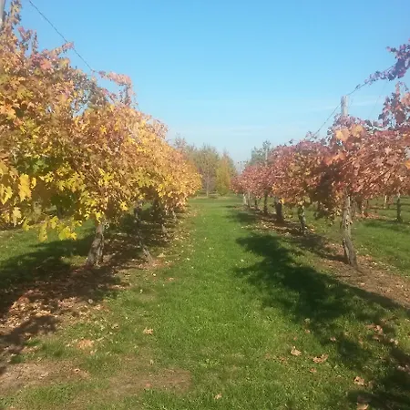 ファームステイ Il Brugnolo スカンディアーノ