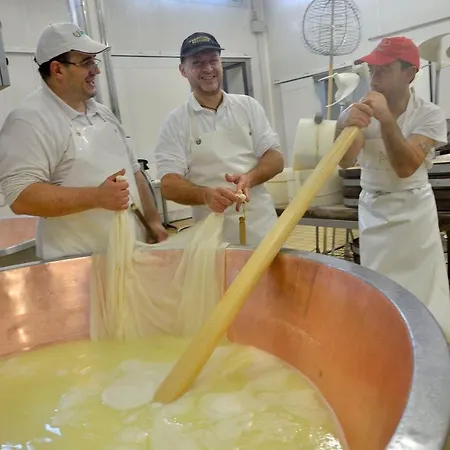 Il Brugnolo Scandiano