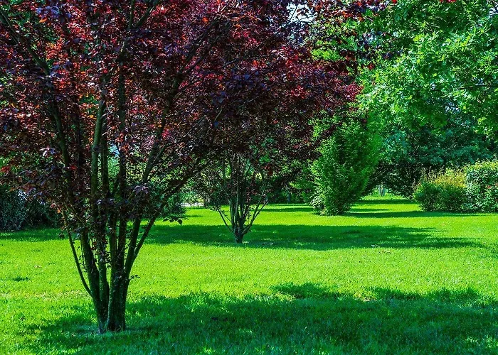 Feriegård Il Brugnolo