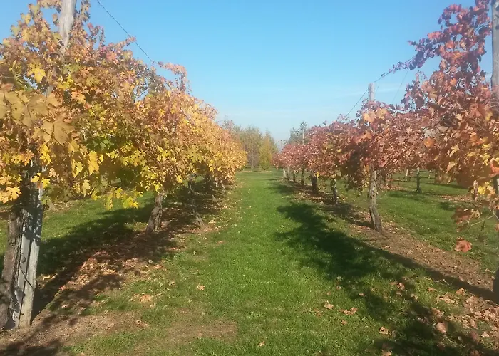 Séjour à la ferme Il Brugnolo Scandiano