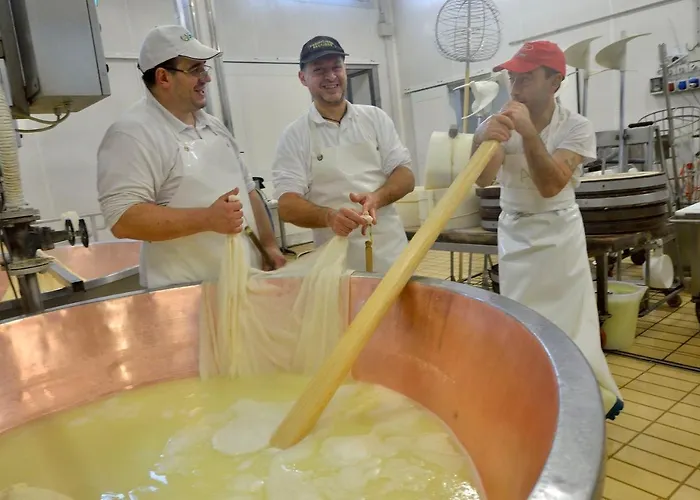 Il Brugnolo Scandiano